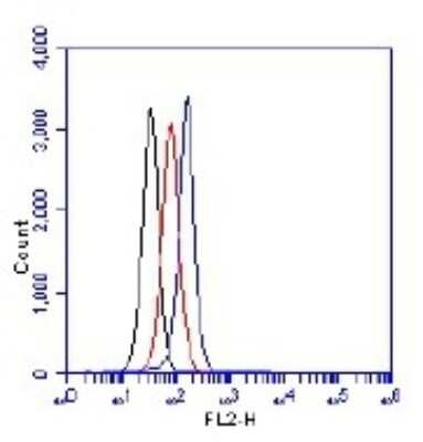 Flow Cytometry: 53BP1 [p Ser25] Antibody [NB100-1803]